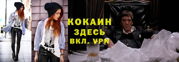 бошки Алексин