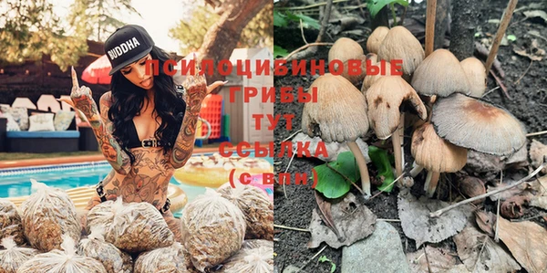 ECSTASY Приозерск